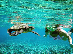 Diving